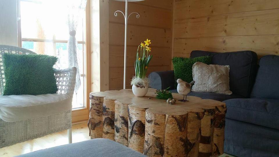 Domki Pasja II View,Lake & Ski Kluszkowce Extérieur photo